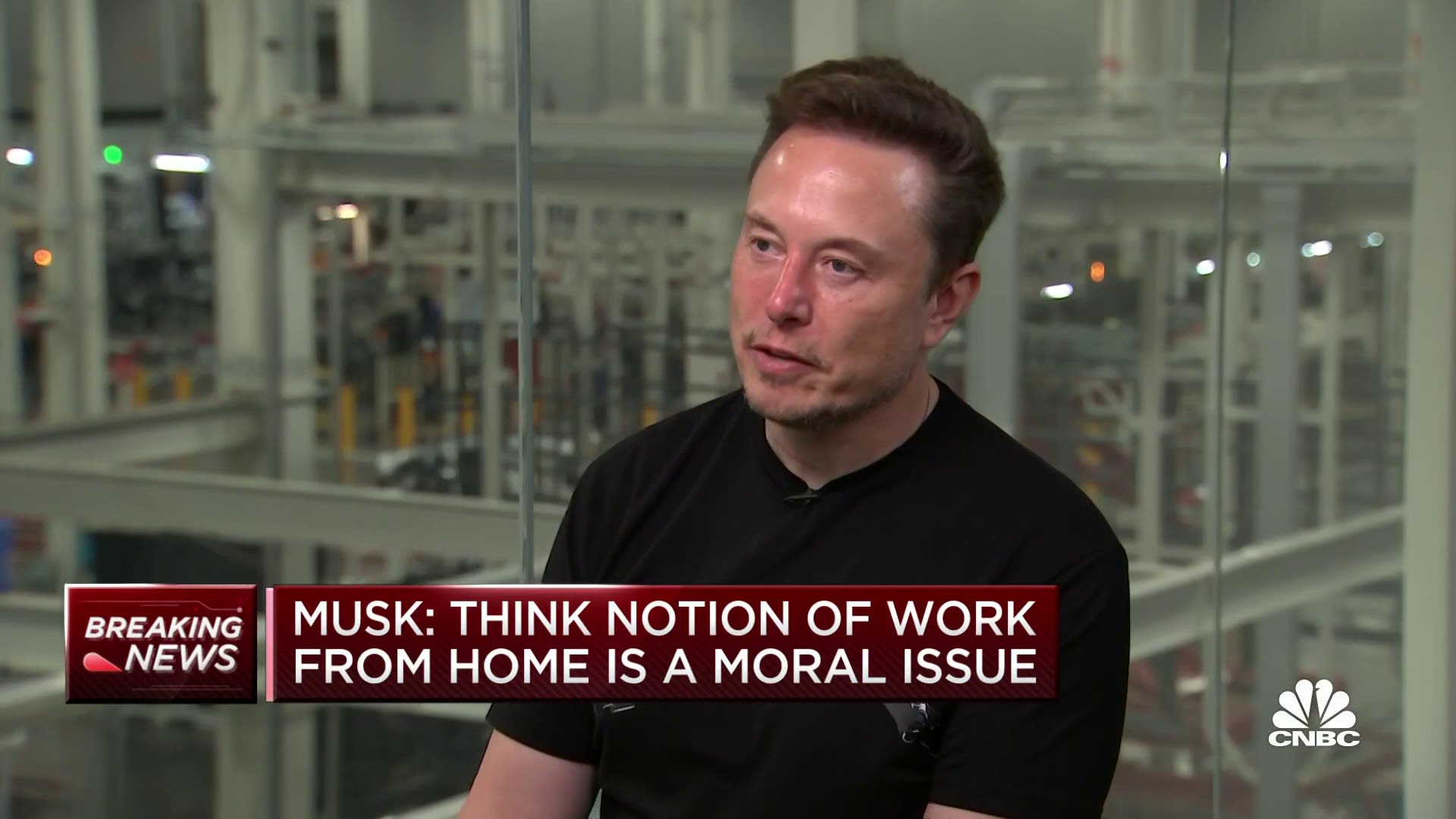 Tesla CEO Elon Musk: 'The laptop class is living in la-la land' over work-from-home