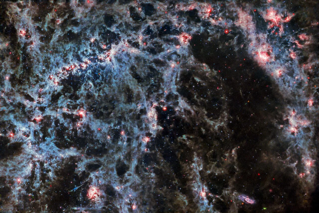 A delicate tracery of dust and bright star clusters threads across this image from the NASA/ESA/CSA James Webb Space Telescope. In this image, from WebbРђЎs MIRI instrument, the dusty structure of the spiral galaxy and glowing bubbles of gas containing newly-formed star clusters are particularly prominent. These bright tendrils of gas belong to the barred spiral galaxy NGC 5068, located around 17 million light-years from Earth in the constellation Virgo. This portrait of NGC 5068 is part of a campaign to create an astronomical treasure trove, a repository of observations of star formation in nearby galaxies. Previous gems from this collection can be seen here and here. These observations are particularly valuable to astronomers for two reasons. The first is because star formation underpins so many fields in astronomy, from the physics of the tenuous plasma that lies between stars to the evolution of entire galaxies. By observing the formation of stars in nearby galaxies, astronomers hope to kick-start major scientific advances with some of the first available data from Webb. The second reason is that WebbРђЎs observations build on other studies using telescopes including the NASA/ESA Hubble Space Telescope and some of the worldРђЎs most capable ground-based observatories. Webb collected images of 19 nearby star-forming galaxies which astronomers could then combine with catalogues from Hubble of 10 000 star clusters, spectroscopic mapping of 20├ѓ 000 star-forming emission nebulae from the Very Large Telescope (VLT), and observations of 12├ѓ 000 dark, dense molecular clouds identified by the Atacama Large Millimeter/submillimeter Array (ALMA). These observations span the electromagnetic spectrum and give astronomers an unprecedented opportunity to piece together the minutiae of star formation. Three asteroid trails intrude into this image, visible as tiny blue-green-red dots. Asteroids appear in astronomical images such as these because they are much closer to the telescope than the distant target. As Webb captures several images of the astronomical object, the asteroid moves, so it shows up in a slightly different place in each frame. They are a little more noticeable in images such as this one from MIRI, because many stars are not as bright in mid-infrared wavelengths as they are in near-infrared or visible light, so asteroids are easier to see next to the stars. One trail lies just below the galaxyРђЎs bar, and two more in the bottom-left corner - can you spot them? [Image description: A close-in image of a spiral galaxy, showing its core and part of a spiral arm. A few bright stars are visible throughout it, concentrated in the barred core. Clumps and filaments of dust thread through it, forming an almost skeletal structure that follows the twist of the galaxy and its spiral arm. Large, glowing bubbles of red gas are hidden in the dust.] Links NGC 5068 (MIRI+NIRCam image) NGC 5068 (NIRCam image) Slider Tool (MIRI and NIRCam images) Video: Pan of NGC 5068 Video: Webb's views of NGC 5068 (MIRI and NIRCam images) Video: Zoom into NGC 5068 