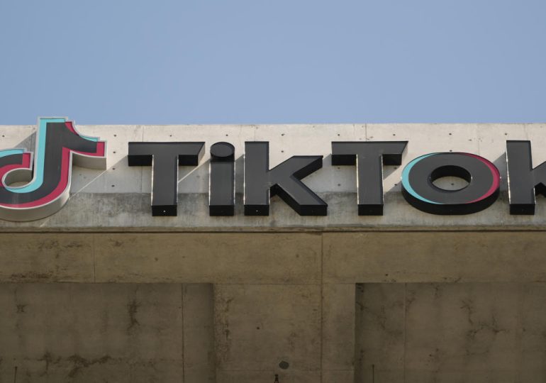TikTok's CEO urges users to 'protect your constitutional rights' as US ban looms